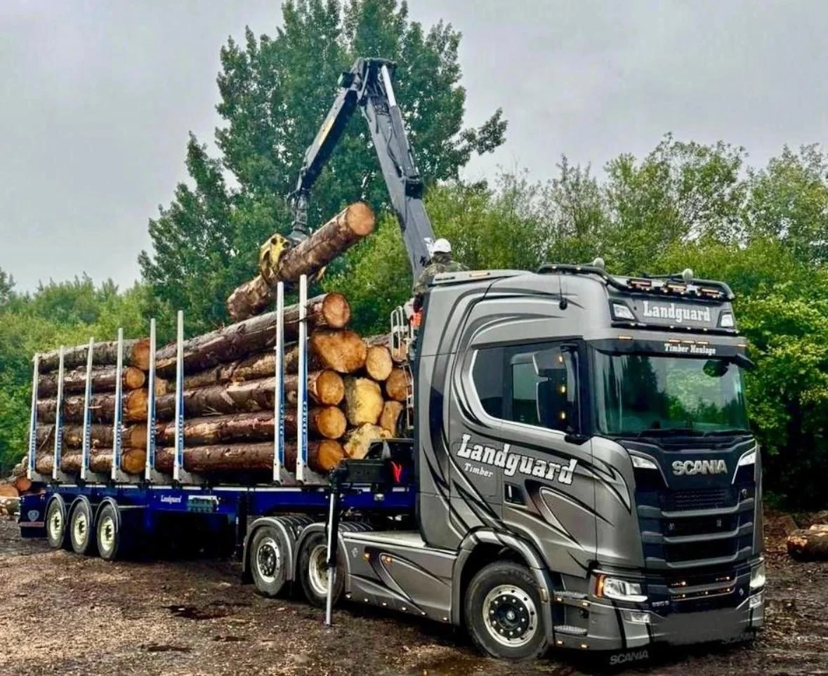 Lorry carrying sawlogs beside timber-handling machinery